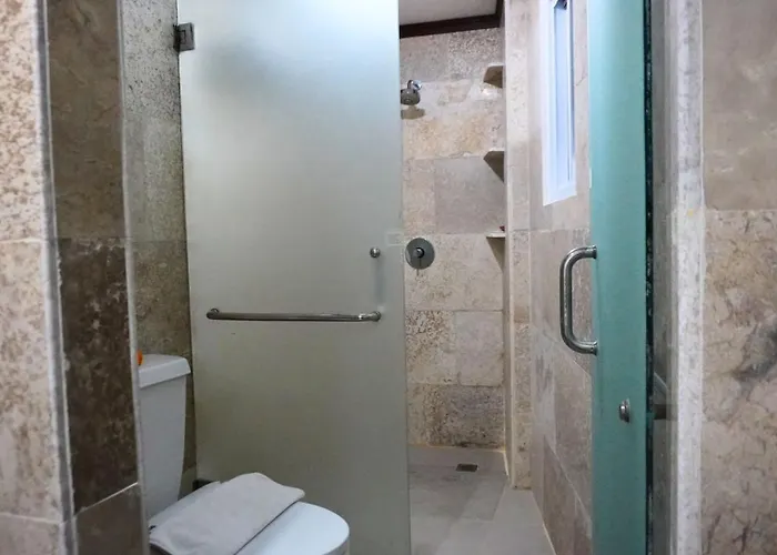 Alu Lofts Семиньяк